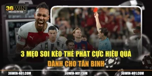 3 Mẹo Soi Kèo Thẻ Phạt Cực Hiệu Quả Dành Cho Tân Binh