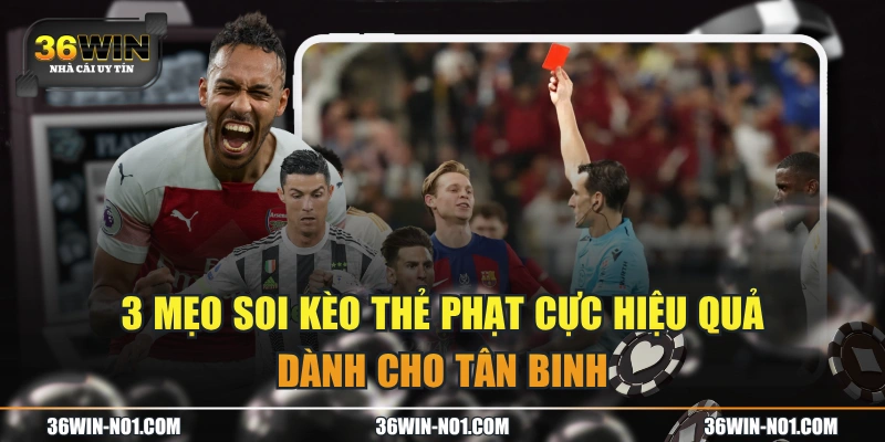 3 Mẹo Soi Kèo Thẻ Phạt Cực Hiệu Quả Dành Cho Tân Binh
