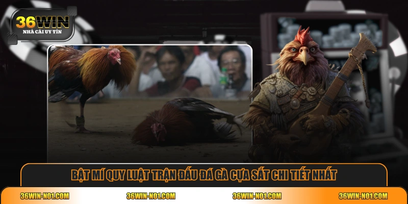 Bật mí quy luật trận đấu đá gà cựa sắt chi tiết nhất