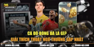 Cá Độ Bóng Đá Là Gì? Giải Thích Thuật Ngữ Thường Gặp Nhất