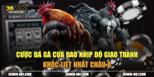 Cược Đá Gà Cựa Dao Nhịp Độ Giao Tranh Khốc Liệt Nhất Châu Á