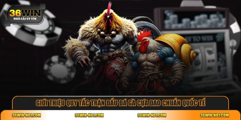 Giới thiệu quy tắc trận đấu đá gà cựa dao chuẩn quốc tế