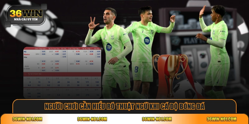 Người chơi cần hiểu rõ thuật ngữ khi cá độ bóng đá