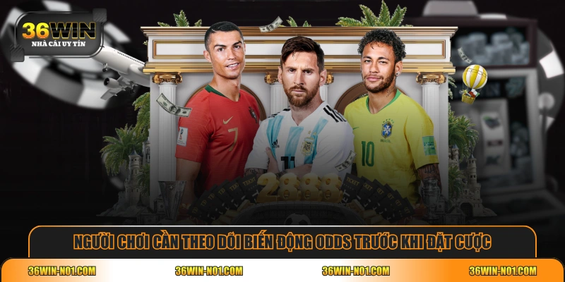 Người chơi cần theo dõi biến động odds trước khi đặt cược