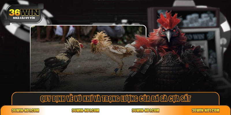 Quy định về vũ khí và trọng lượng của đá gà cựa sắt