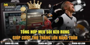 Tổng Hợp Mẹo Soi Kèo Rung Giúp Cược Thủ Thắng Lớn Hằng Tuần