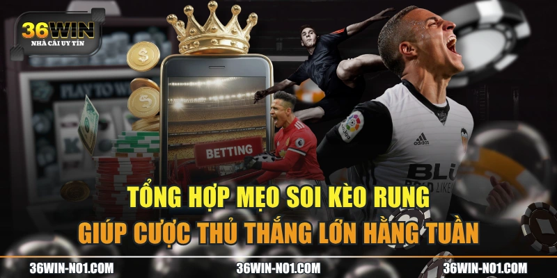 Tổng Hợp Mẹo Soi Kèo Rung Giúp Cược Thủ Thắng Lớn Hằng Tuần
