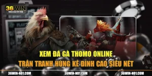 Xem Đá Gà Thomo Online Trận Tranh Hùng Kê Đỉnh Cao Siêu Nét