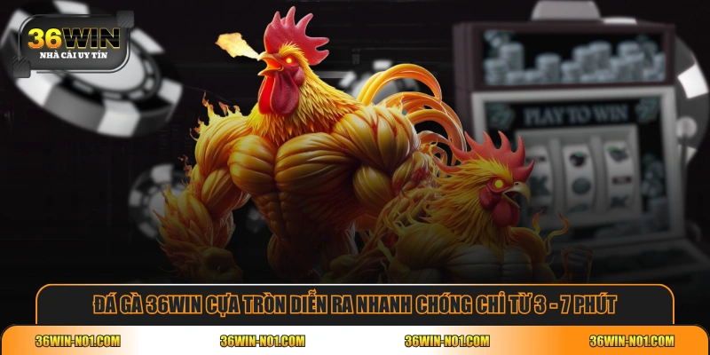 Đá gà 36WIN cựa tròn diễn ra nhanh chóng chỉ từ 3 - 7 phút